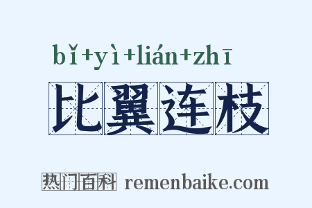 比翼连枝是什么意思的图片